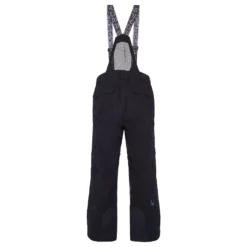 Spyder Mens Sentinel GORE-TEX® Pants 31 Spyder Mens Sentinel GORE-TEX® Pants -686 shop unnamed file 4501