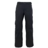 686 Mens Infinity Insulated Cargo Pants